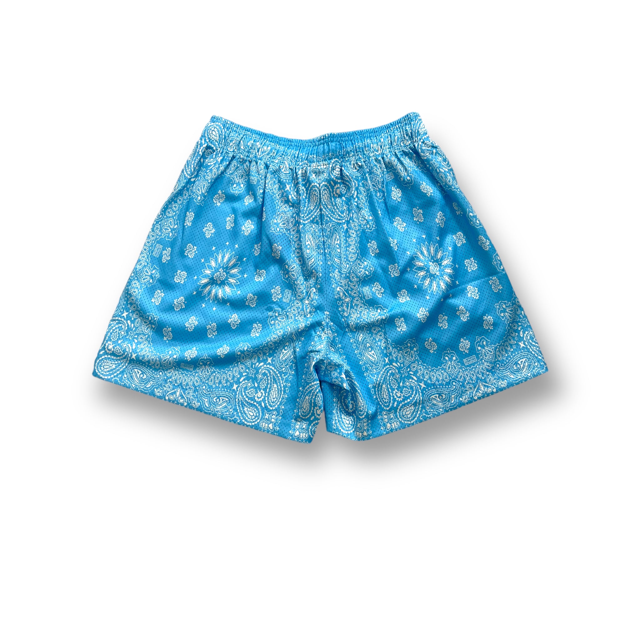 Bravest Studios Baby Blue Paisley Shorts